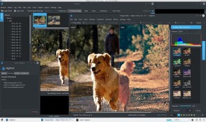 digiKam digiKam digiKam: software gratis para organizar, visualizar y editar tus fotos