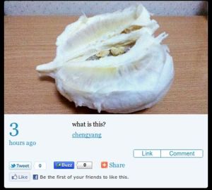 Bannka