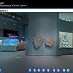 Visita virtual al Museo de Historia Natural de Smithsonian