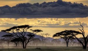 nationalgeo