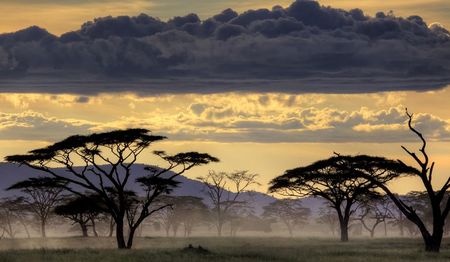 Fondos de pantalla gratuitos con la calidad de National Geographic