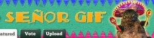 senorgif