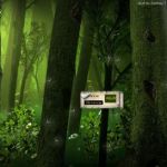Zankias, Un bosque virtual para mostrar tu gratitud a alguien