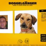 Doggelganger, encuentra tu perro ideal a partir de tu fotografía