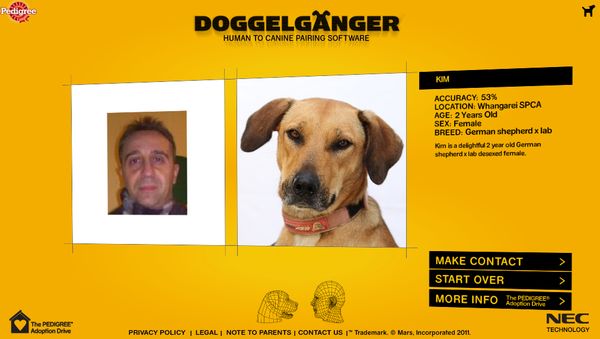 Doggelganger, encuentra tu perro ideal a partir de tu fotografía