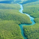 Google Street View nos enseñará el Amazonas