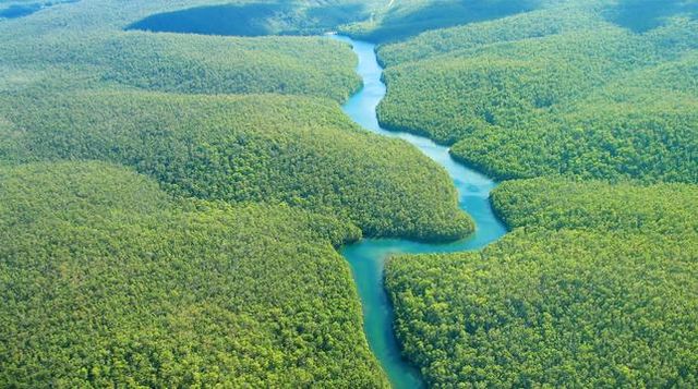 Google Street View nos enseñará el Amazonas