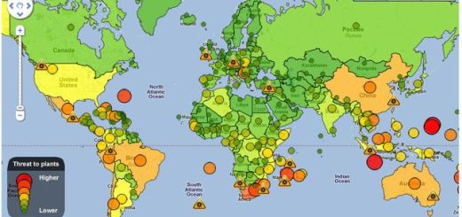 Mapa mundial de plantas en peligro de extinción