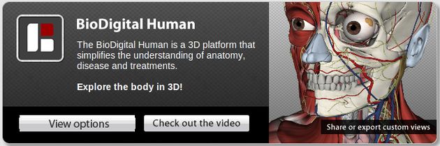 BioDigital Human, miles de animaciones interactivas en 3D para el estudio de la anatomía humana