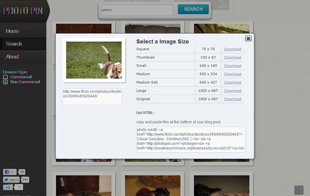 Photo Pin, un buscador con millones de imágenes bajo licencia Creative Commons