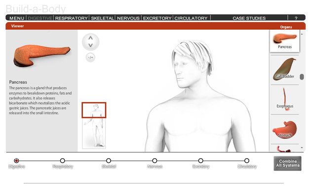 Build a Body, aplicación web interactiva para construir un cuerpo humano