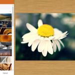 PicMonkey, completo editor de imágenes online y gratuito