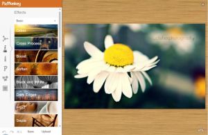 PicMonkey