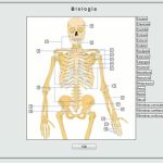 Thatquiz: ejercicios online de matemáticas, vocabulario, geografía y ciencia