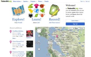 iNaturalist