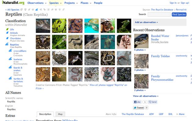 iNaturalist, red social para amantes de la naturaleza