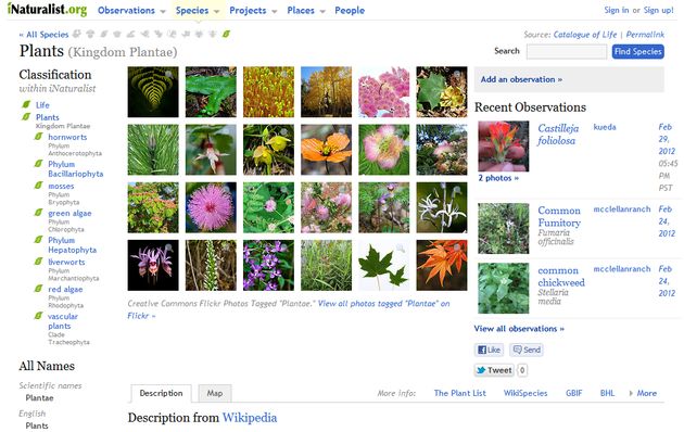 iNaturalist, red social para amantes de la naturaleza