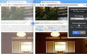 Language Immersion for Chrome