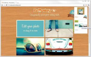 PicMonkey Extension