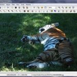 PhotoFiltre, completo soft gratuito de edición y dibujo para tu PC