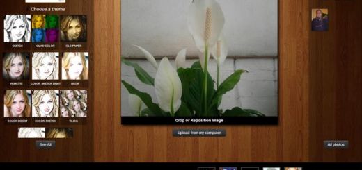 Meowfoto, una app online para aplicar bonitos efectos a nuestras fotos y crear collages