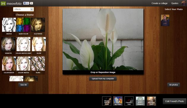 Meowfoto, una app online para aplicar bonitos efectos a nuestras fotos y crear collages
