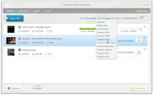 Freemake Video Downloader