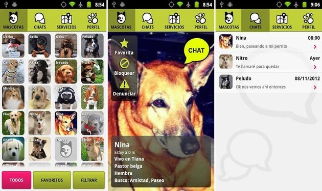 Doggy Talk, la red social móvil para tu perro