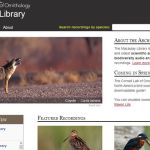 Macaulay Library, más de 150000 sonidos y vídeos de especies animales