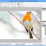 Fotografix, un completo editor de imágenes portable y gratuito para Windows