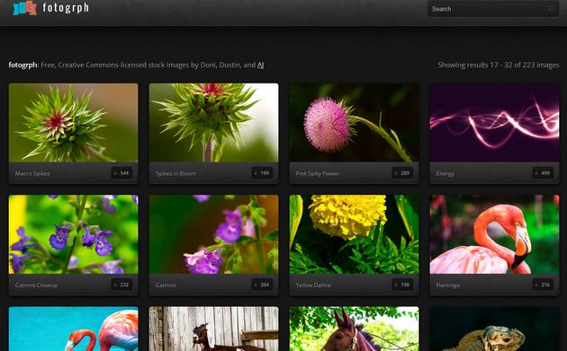Fotogrph, colección de bellas fotografías Creative Commons para usar en nuestros proyectos