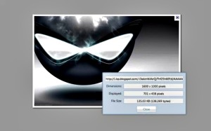Image Size Info