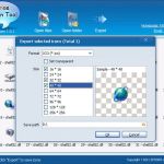 Free Icon Tool: extrae iconos y cursores de archivos exe, dll, ocx, cpl y cil