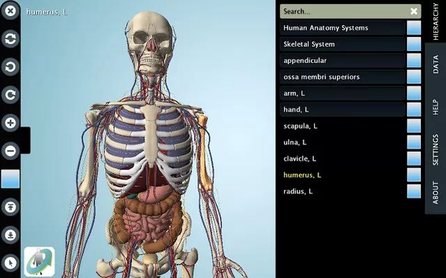 Anatronica, aplicación Chrome para el estudio en 3D de anatomía humana