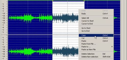 Naturpic: software para editar, reproducir, grabar y convertir audios