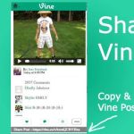 Vine for Chrome, sigue tu feed de Vine en Google Chrome