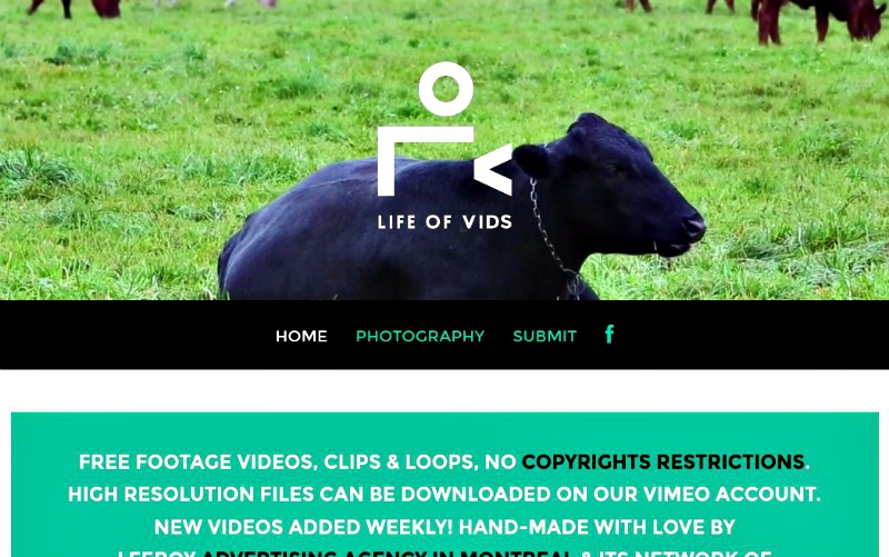 Life Of Vids: banco de vídeos libres para usar en tus proyectos