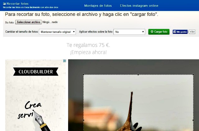 Recortar fotos: utilidad web gratuita para recortar imágenes