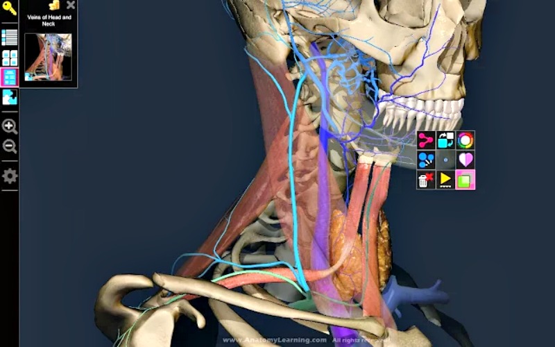 3D Anatomy Learning: app Chrome para conocer la anatomía humana