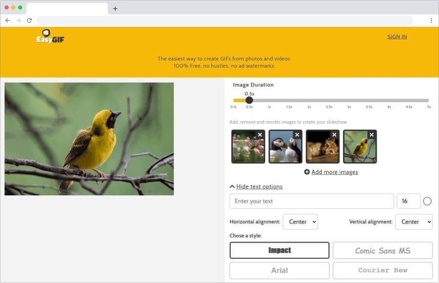 Crear gifs animados gratis con EasyGIF