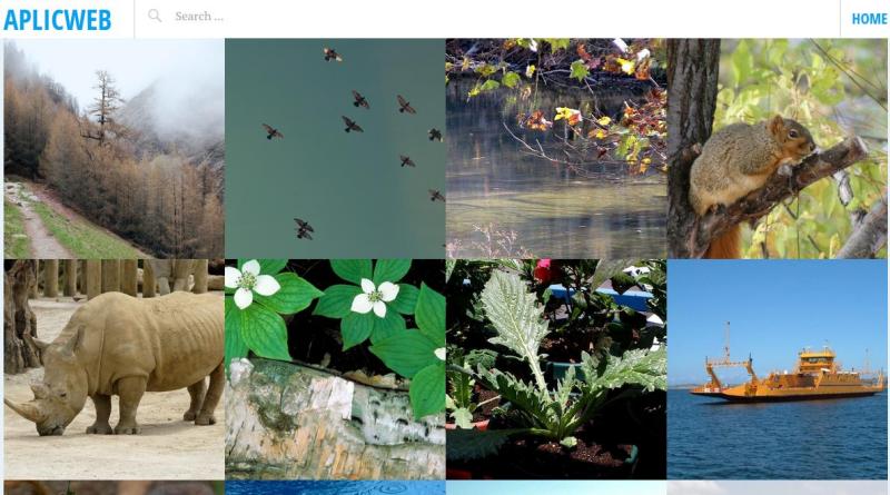AplicWeb: gran colección de fotografías de dominio público