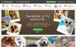 Webanimales: la nueva red social para las mascotas y sus dueños