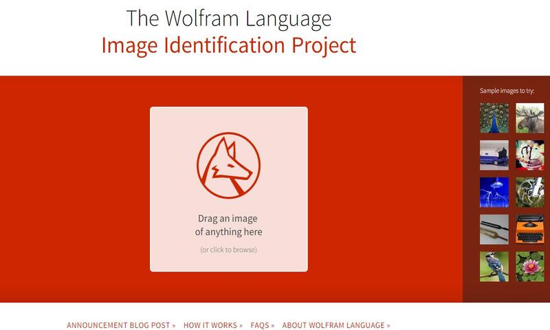 ¿Has probado el nuevo sitio de reconocimiento de imágenes de Wolfram Alpha?