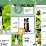 Fetch!, app de Microsoft que reconoce razas caninas (iOS)