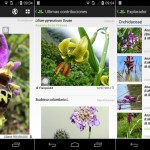 PlantNet: crean app que reconoce plantas (Android, iOS)