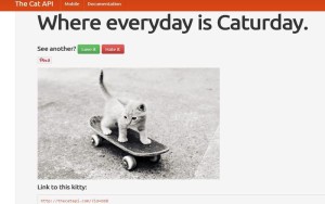 The Cat API