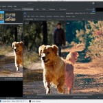 digiKam: software gratis para organizar, visualizar y editar tus fotos