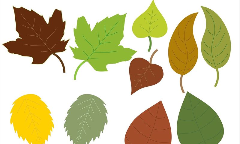 40 recursos para diseñadores que no te puedes perder