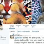 NeuralPainter: el bot de Twitter que transforma fotos en Arte