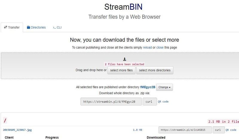 StreamBIN: aplicación web para enviar archivos sin servidor intermedio